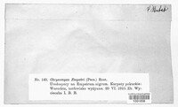 Image Associated With the Occurence
